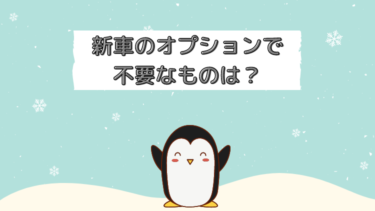 新車のオプションでいらないものは？実際に整備士の僕が付けたもの